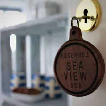 住宿加早餐酒店 Rosenhoj