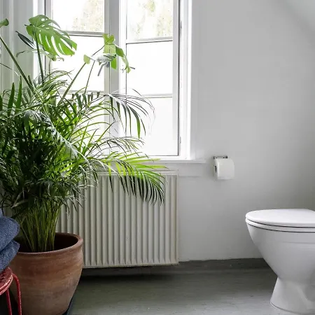 Rosenhoj 住宿加早餐酒店 3*